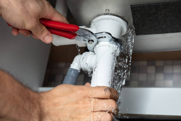 Best Professional water damage repair  in Sebastian, FL