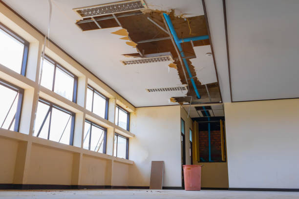 Best Ceiling water damage repair  in Sebastian, FL