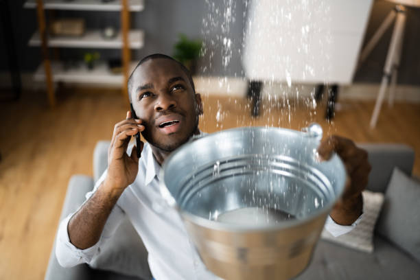 Best Carpet water damage restoration  in Sebastian, FL
