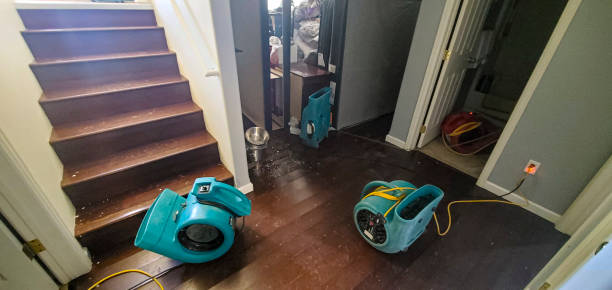 Best Water damage restoration near me  in Sebastian, FL