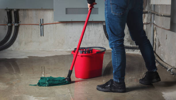 Best Mold removal after water damage  in Sebastian, FL