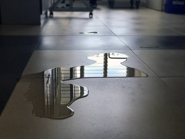 Best 24-hour water damage restoration  in Sebastian, FL