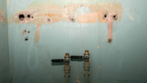 Best Mold removal after water damage  in Sebastian, FL