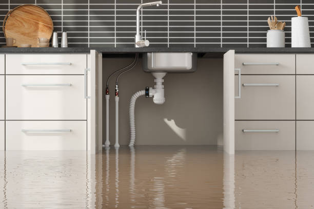Best Water damage repair service  in Sebastian, FL