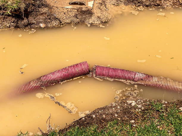 Best Sewage cleanup and water damage restoration  in Sebastian, FL