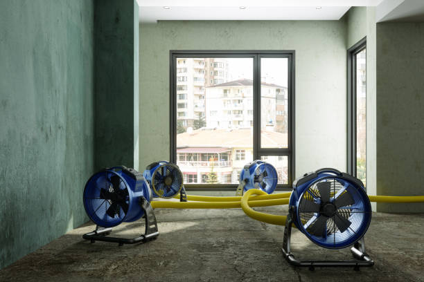 Best Ceiling water damage repair  in Sebastian, FL
