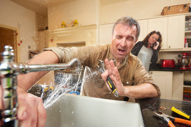 Best Basement water damage restoration  in Sebastian, FL